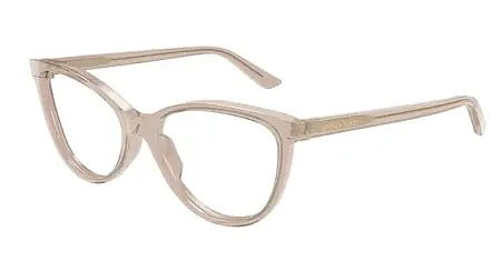 BOTTEGA VENETA BV1313O 013