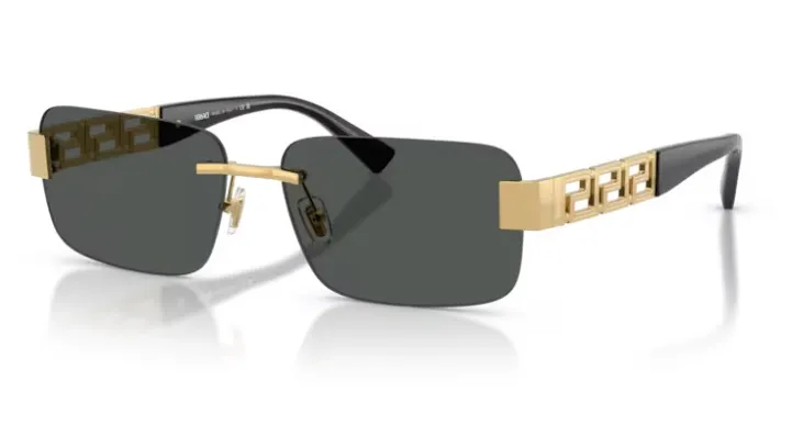 VERSACE VE2298 100287