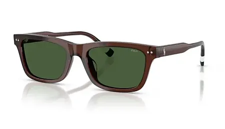 POLO RALPH LAUREN PH4240U 631571